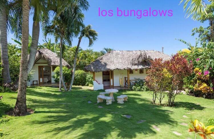 Casa Flamingo Villa Las Terrenas Exterior photo