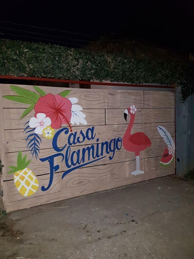 Casa Flamingo Villa Las Terrenas Exterior photo