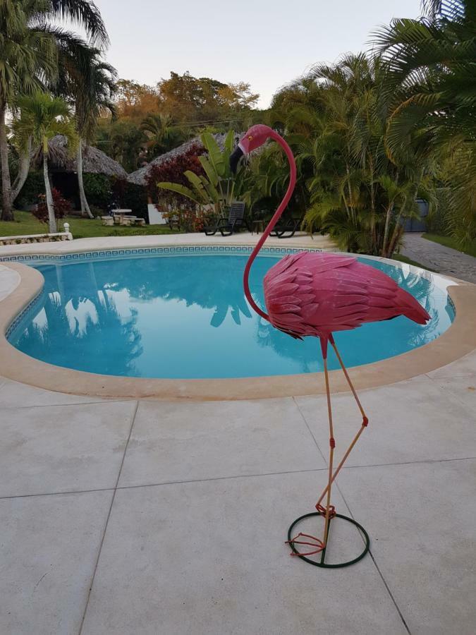 Casa Flamingo Villa Las Terrenas Exterior photo