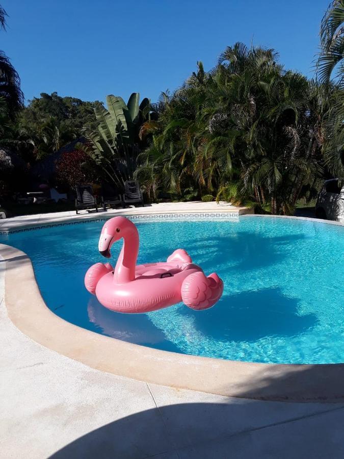 Casa Flamingo Villa Las Terrenas Exterior photo